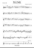 Hava Nagila - Clarinet Solo (with premium Backing Track)