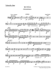 Missa B flat major Hob.XXII:14 'Harmony Mass'