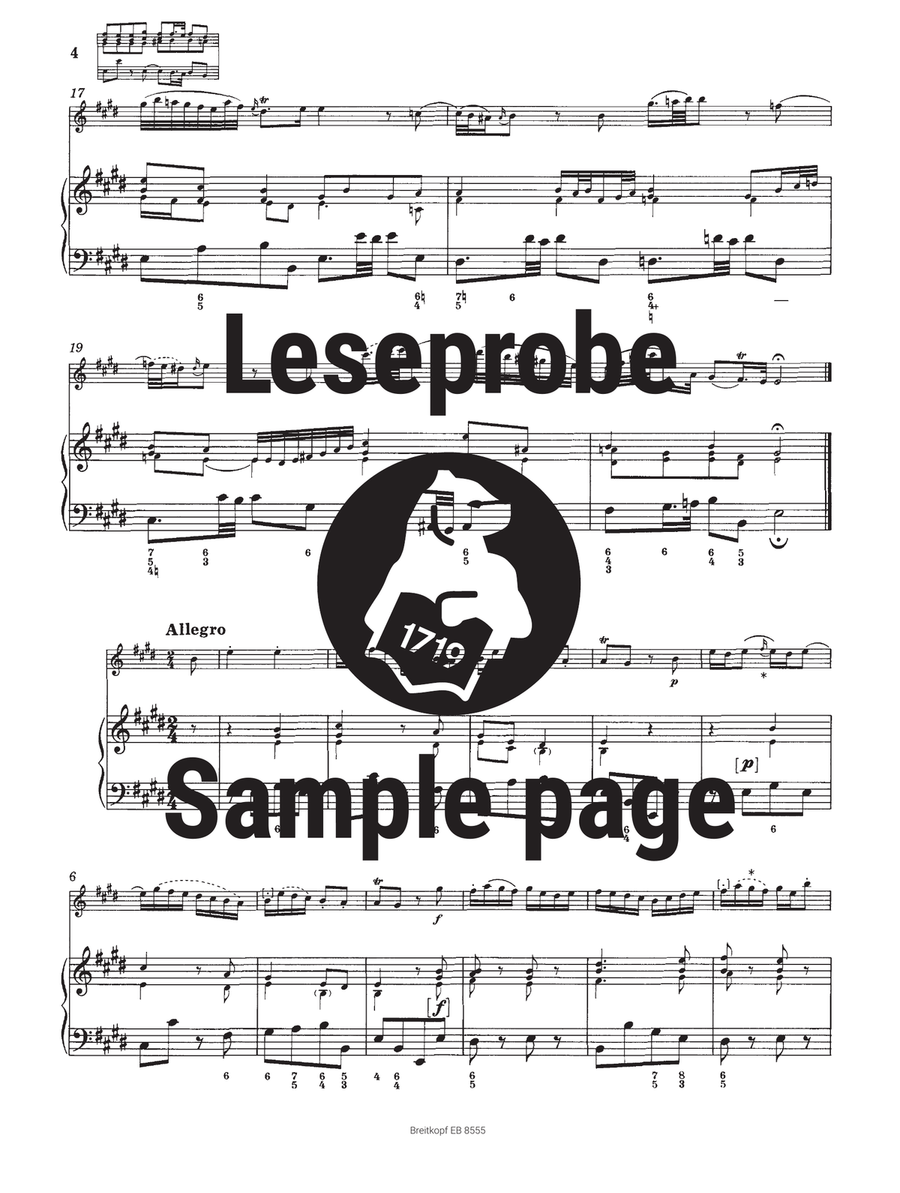 Sonata in E major BWV 1035 Flute Solo scores gallery preview page 4