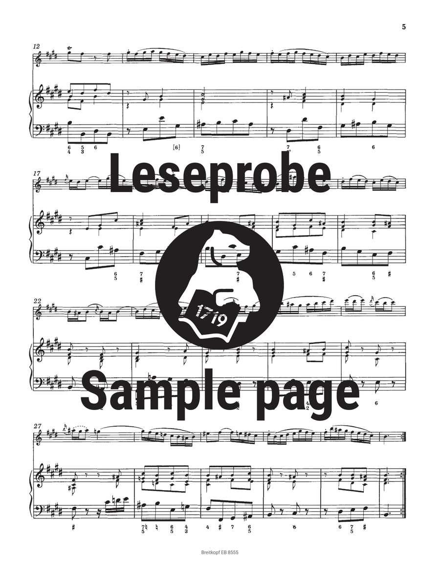 Sonata in E major BWV 1035 Flute Solo scores gallery preview page 5