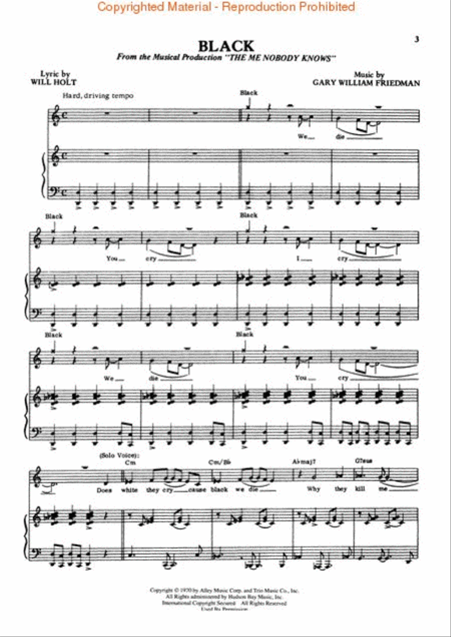 The Me Nobody Knows Piano, Vocal, Guitar scores gallery preview page 2