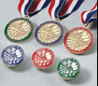 Standard of Excellence Book 1, Award Medal