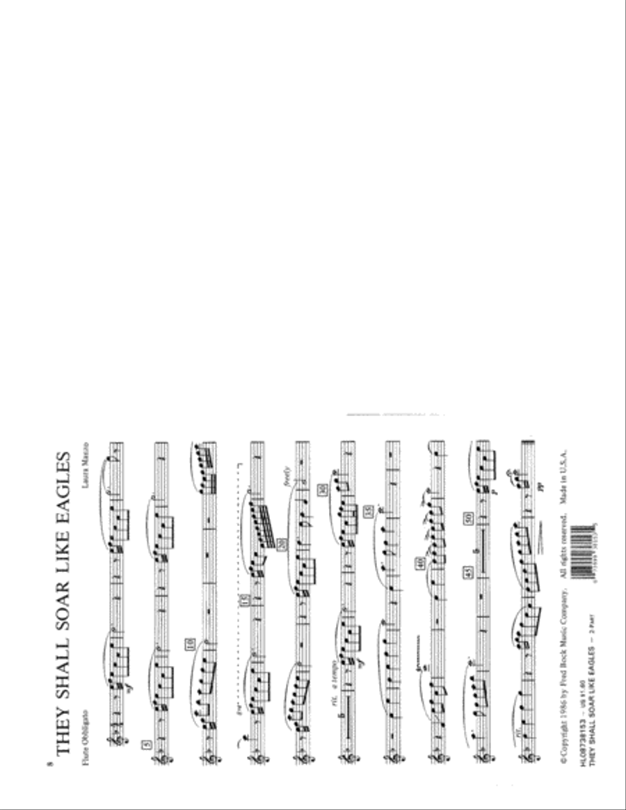 They Shall Soar Like Eagles 3-Part scores gallery preview page 5