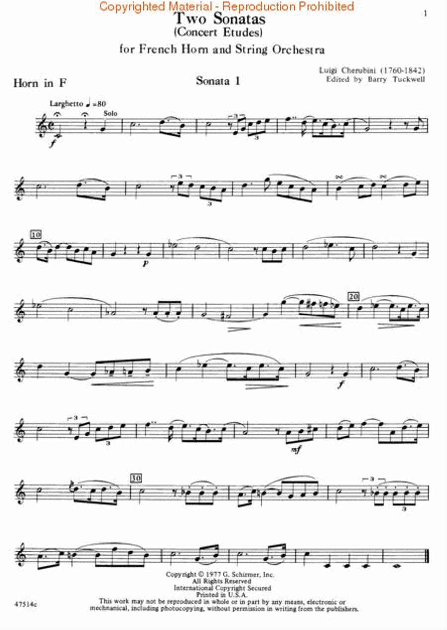 2 Sonatas for French Horn Orchestra scores gallery preview page 2