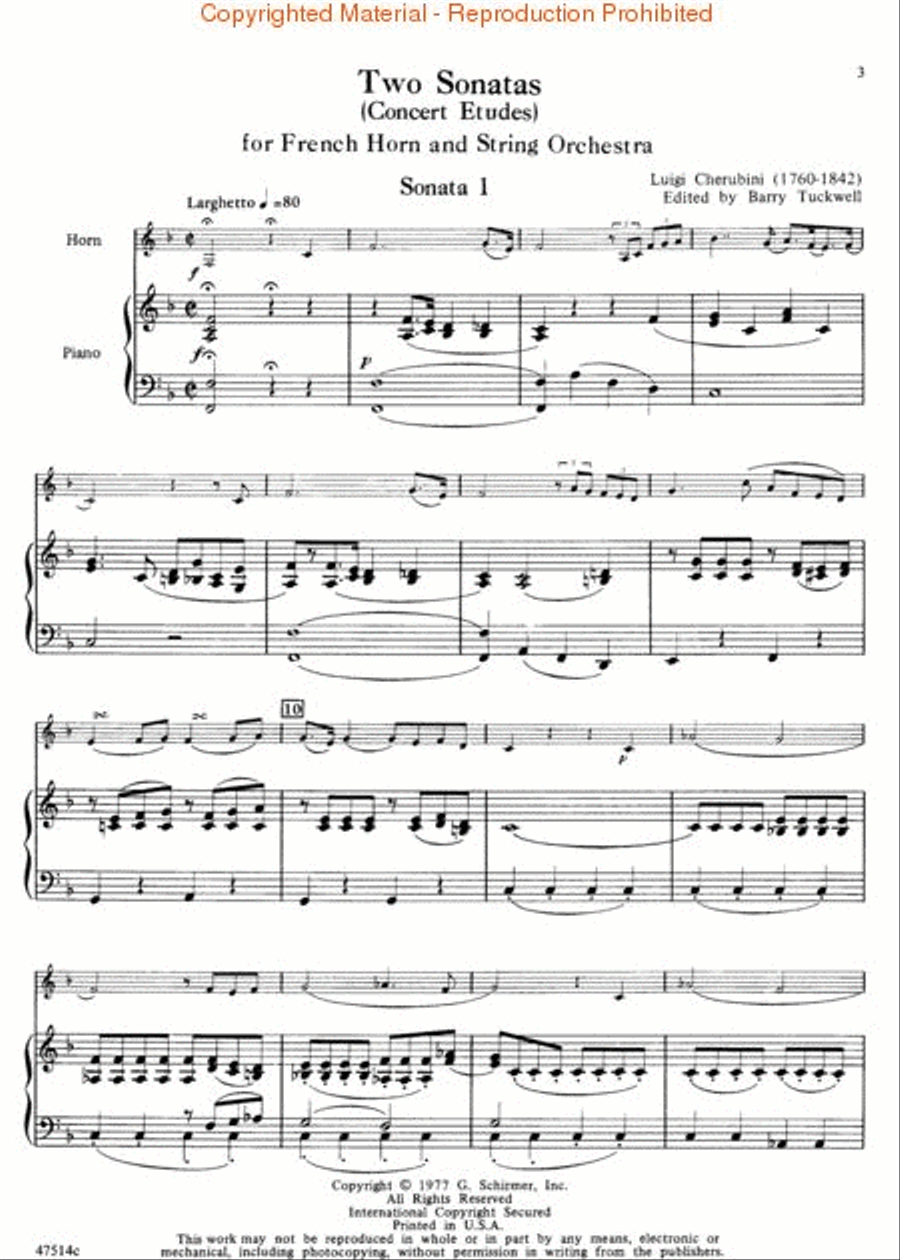 2 Sonatas for French Horn Orchestra scores gallery preview page 3