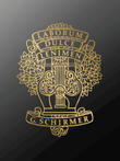 Feuille d'Album