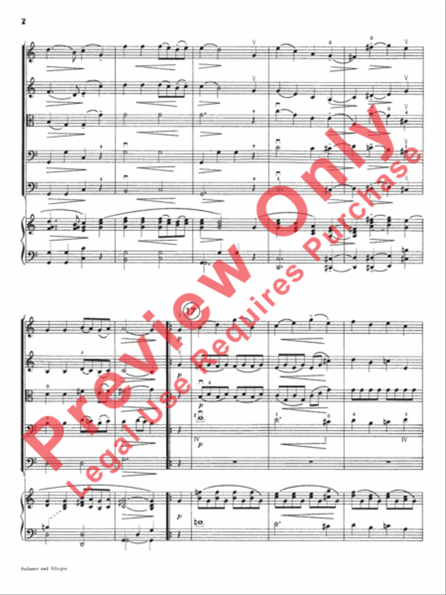 Andante and Allegro Andante and Allegro String Orchestra scores gallery preview page 5