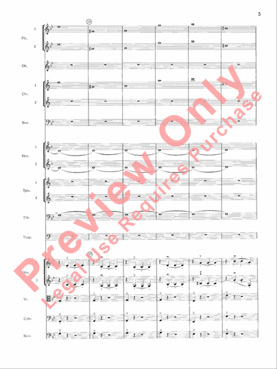 Mozart's Symphony No. 25 in G Minor, 1st & 2nd Movements Full Orchestra scores gallery preview page 8