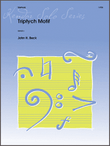 Triptych Motif