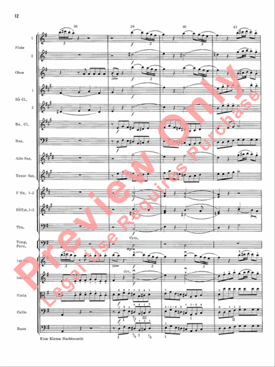 Eine Kleine Nachtmusik Eine Kleine Nachtmusik Full Orchestra scores gallery preview page 13