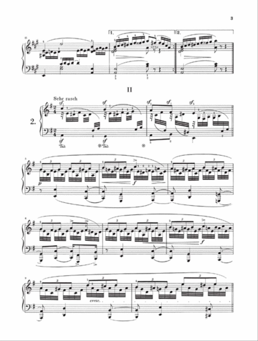 Coloured Leaves (Bunte Blätter) Op. 99 Piano Solo scores gallery preview page 3