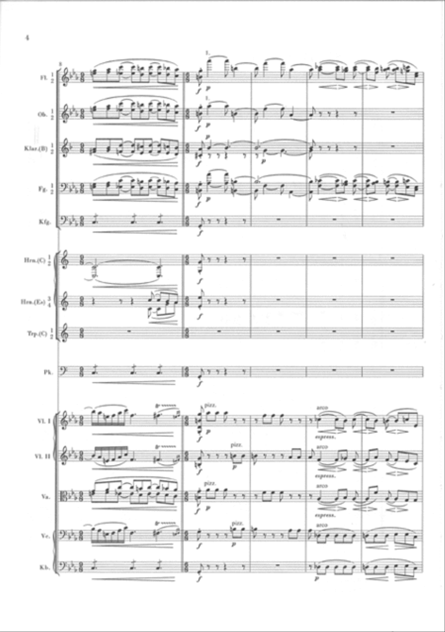 Symphony C Minor Op. 68, No. 1 Orchestra scores gallery preview page 3