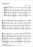 Cantate Domino (Singet dem Herrn)
