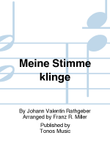 Meine Stimme klinge
