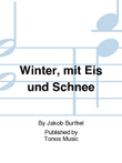 Winter, mit Eis und Schnee