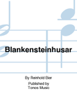 Blankensteinhusar