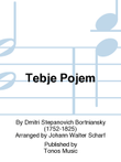 Tebje Pojem