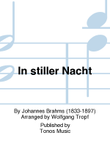 In stiller Nacht