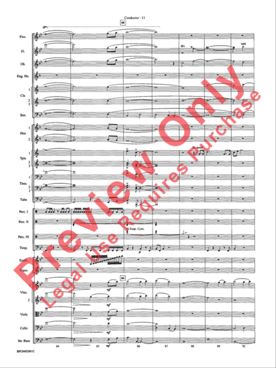 Flying Flying Full Orchestra scores gallery preview page 14
