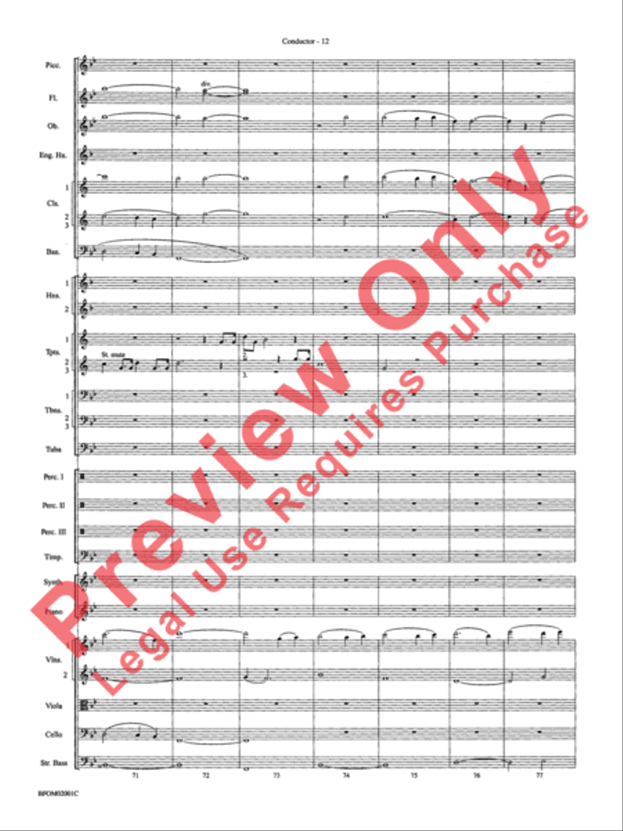 Flying Flying Full Orchestra scores gallery preview page 15