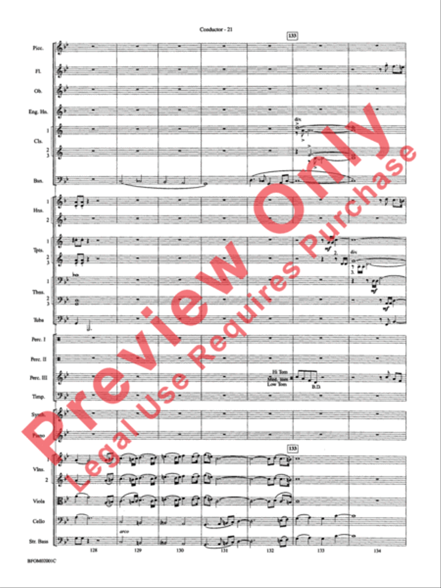 Flying Flying Full Orchestra scores gallery preview page 24