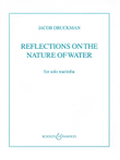 Reflections on the Nature of Water