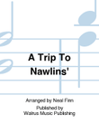 A Trip To Nawlins'