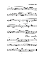 Traditional Slow Airs of Ireland Tin Whistle scores gallery preview page 11