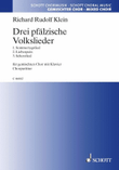 Pfalzische Volkslieder 3