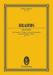 Quintet in B minor, Op. 115