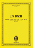 Brandenburg Concerto No. 4 in G Major, BWV 1049 mini preview