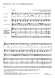 Abenteuer der 4 Stadtmusikanten