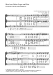 Herr Jesu, deine Angst und Pein