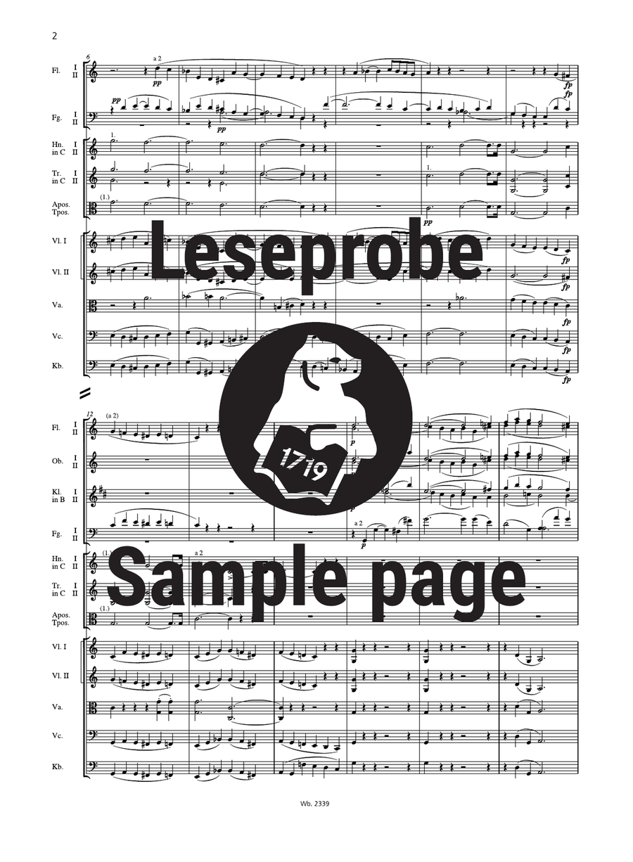 Symphony No. 2 in C major Op. 61 Orchestra scores gallery preview page 3