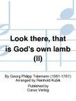 Look there, that is God's own lamb (II) (Siehe, das ist Gottes Lamm (II))