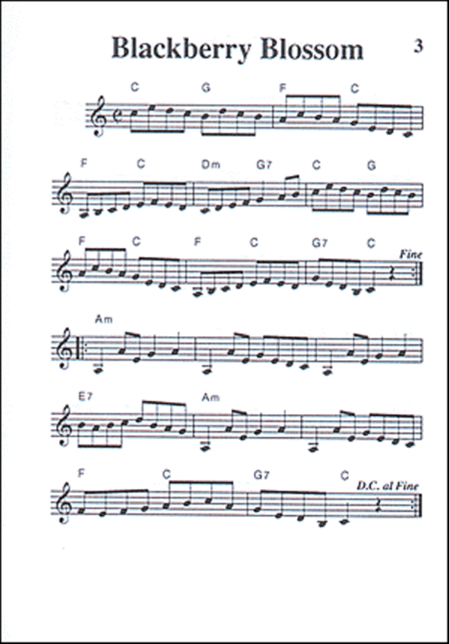 Fiddling Tune Book, Pocketbook Deluxe Series by William Bay Violin - Sheet Music page 2
