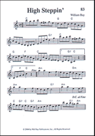 Fiddling Tune Book, Pocketbook Deluxe Series Violin scores gallery preview page 4