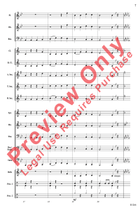 American Folk Song Portrait Concert Band scores gallery preview page 7