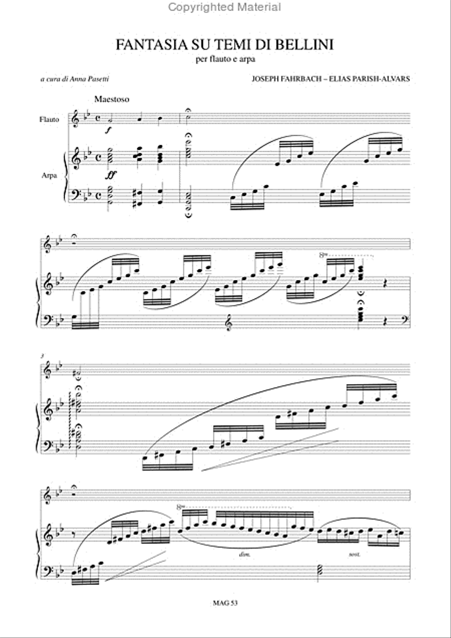 Fantasia on Themes of Bellini (Milano 1838) for Flute and Harp Flute scores gallery preview page 2