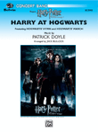 Harry at Hogwarts (from Harry Potter and the Goblet of Fire)