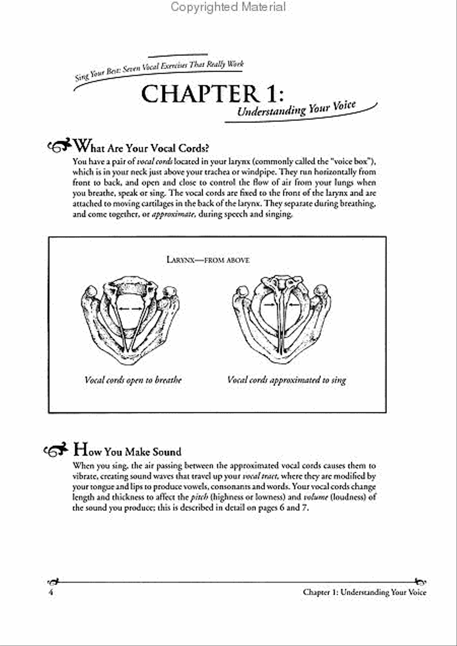 Sing Your Best Voice scores gallery preview page 2