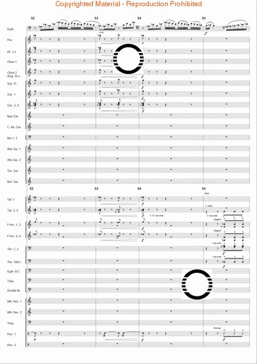 Fantasia di Falcone Fantasia di Falcone Concert Band scores gallery preview page 12
