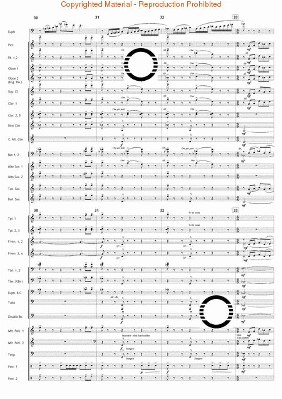 Fantasia di Falcone Fantasia di Falcone Concert Band scores gallery preview page 24