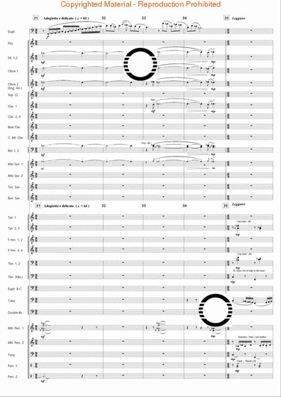 Fantasia di Falcone Fantasia di Falcone Concert Band scores gallery preview page 8