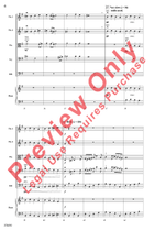 Bavarian Rhapsody String Orchestra scores gallery preview page 6