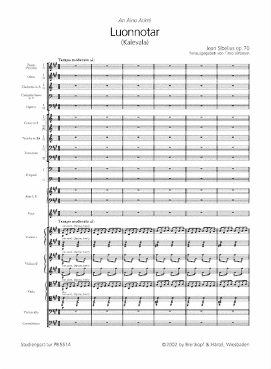 Luonnotar Op. 70 Orchestra scores gallery preview page 2