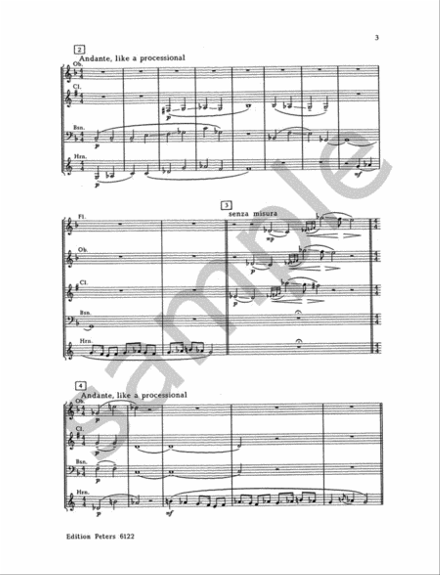 Wind Quintet Op. 159 for Flute, Oboe, Clarinet, Bassoon and Horn Woodwind Quintet scores gallery preview page 3