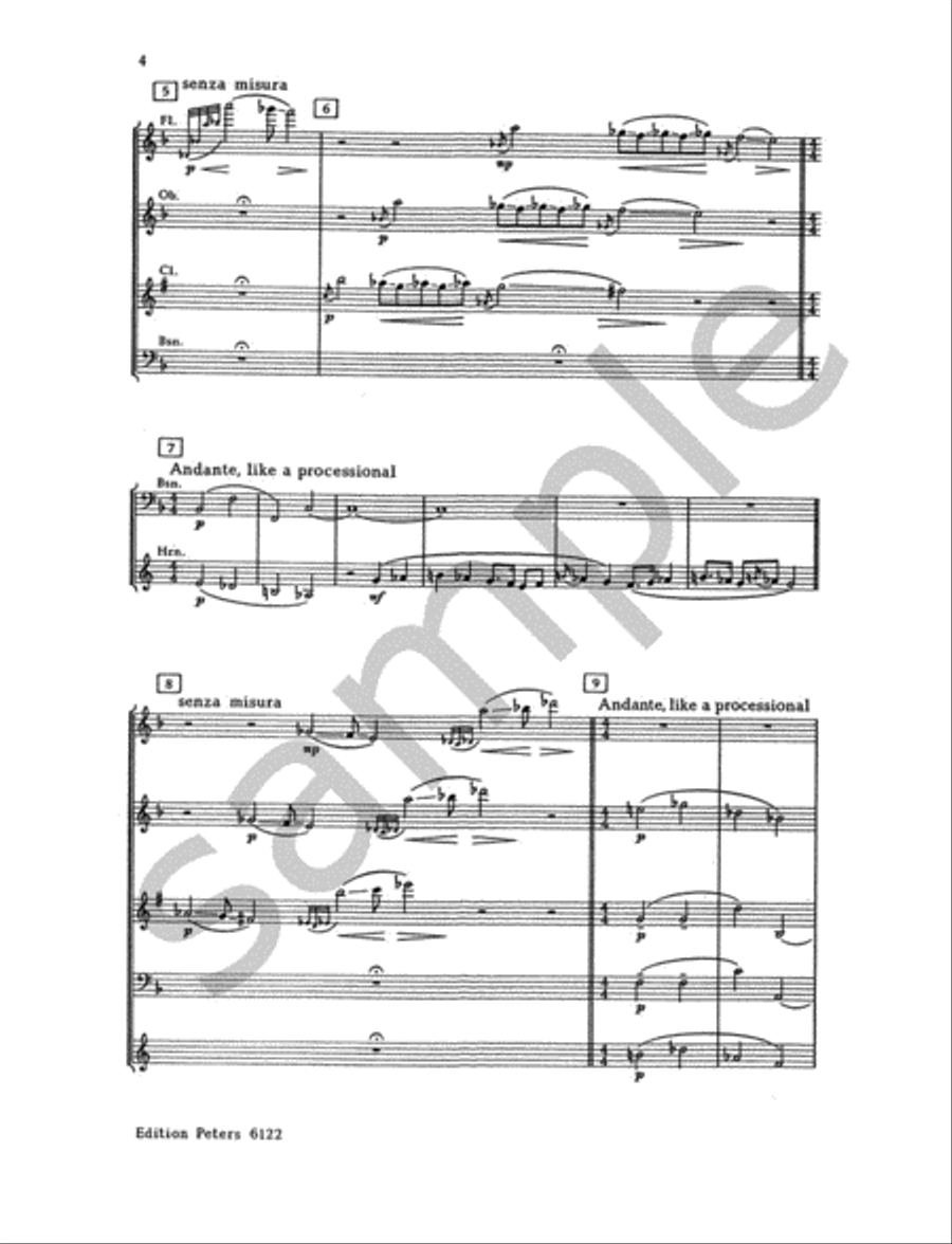 Wind Quintet Op. 159 for Flute, Oboe, Clarinet, Bassoon and Horn Woodwind Quintet scores gallery preview page 5
